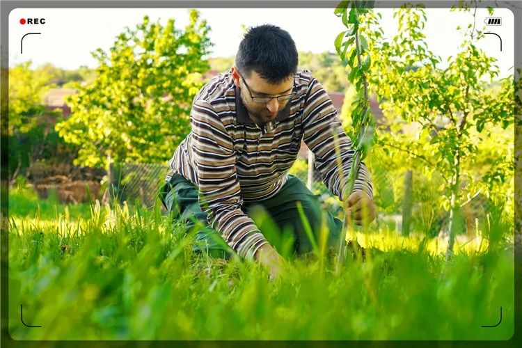 創(chuàng)業(yè)課堂分享決定回農(nóng)村搞種植賺錢項目有哪些推薦