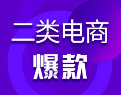 聊一個小眾的電商項目——二類電商，類似1688無貨源，但重廣告投放。,qq群營銷