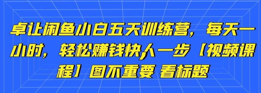 卓讓閑魚小白五天訓(xùn)練營，每天一小時(shí)，輕松賺錢快人一步【視頻課程】