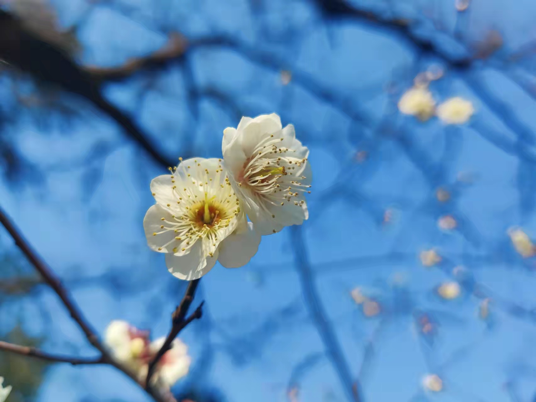 工作中心態(tài)的重要性，職場人應(yīng)避免的6種職場心態(tài)都是什么